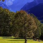 Arenas De Cabrales- 2*