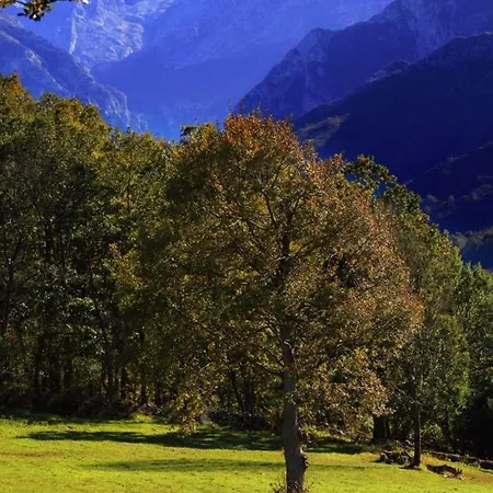 Arenas De Cabrales- 2*