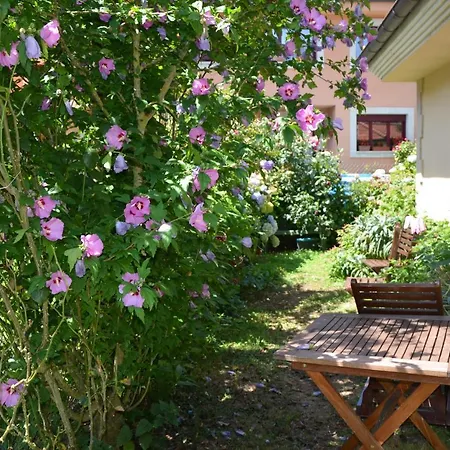 Arenas De Cabrales- اريناس دي كابراليس