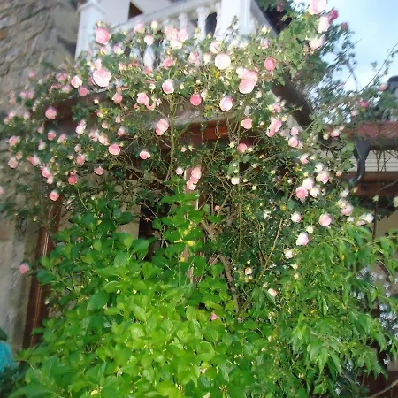 Arenas De Cabrales- Отель