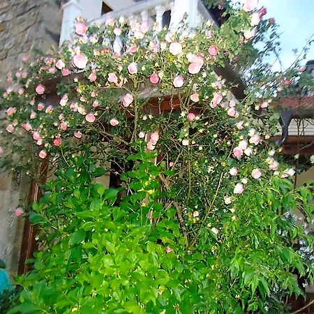 Hotel Arenas De Cabrales-