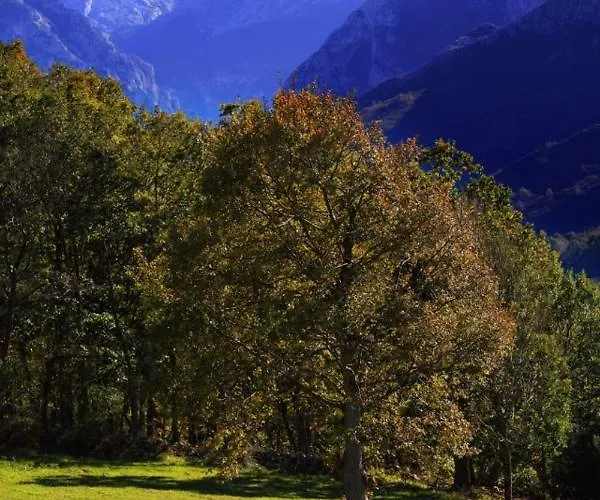 Arenas De Cabrales- 2*