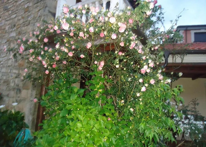 Arenas De Cabrales- Hotel